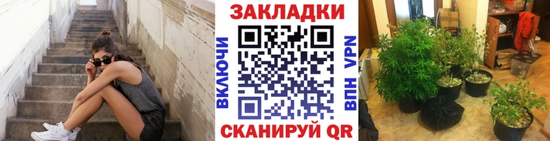Как найти наркотики Лосино-Петровский ГАШ  COCAIN  Вейп ТГК  МЕФ 
