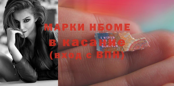 сатива Абинск